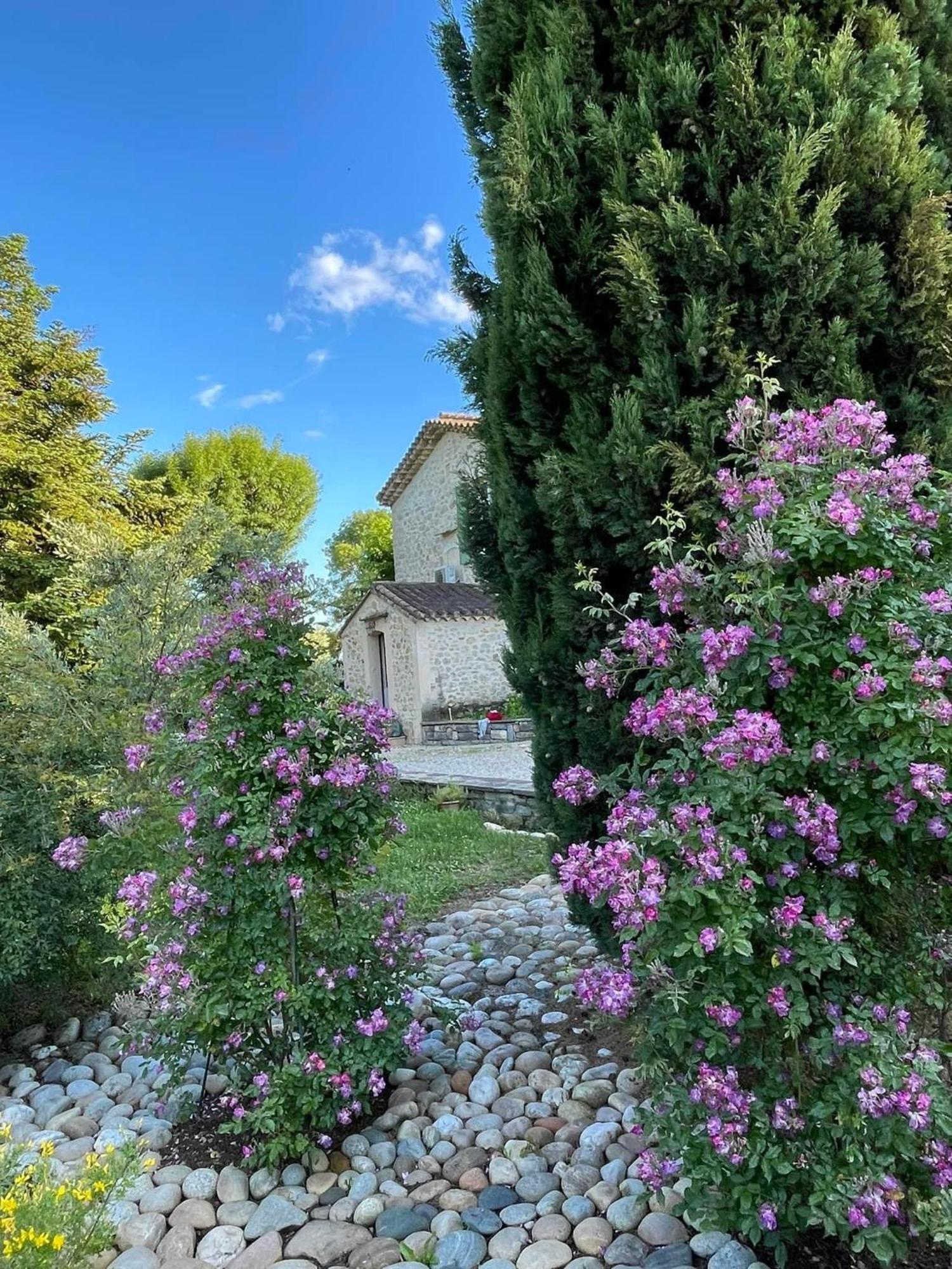 Bed and Breakfast Mas D'Olive Et Kalou Sauve Екстер'єр фото